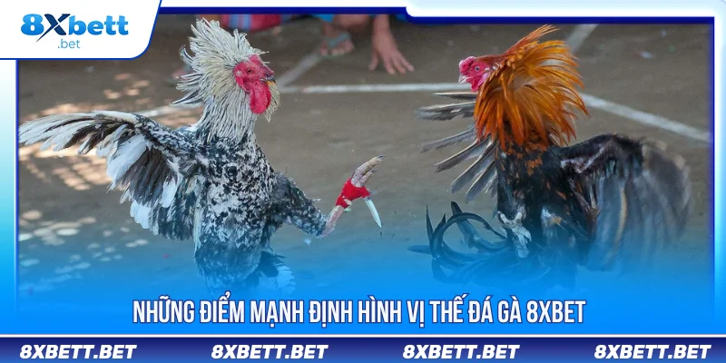 ĐÁ GÀ 8XBET 2 Những điểm mạnh định hình vị thế đá gà 8XBET